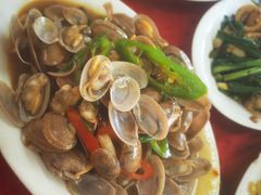 豉汁炒花甲-蛇口康乐快餐鱼仔档(翠苑小区店)