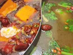 -菌子鲜汤野生菌锅