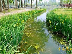 -东郊湿地公园