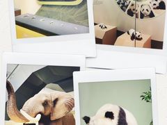 -深圳博物馆历史民俗馆