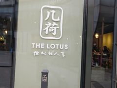 -几荷·恰似故人来(秀水广场店)