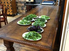 有机蔬菜-上海多利农业发展有限公司