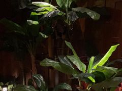 -紫莲花足道(柯桥古镇店)
