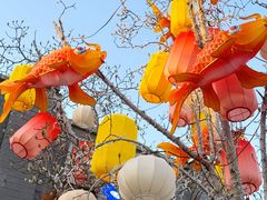 -龙湖星悦荟(颐和店)