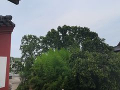 -洛阳白马寺