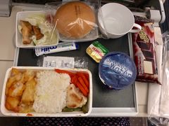 -新加坡航空公司(ION)