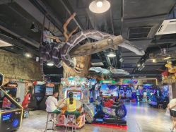 -卡通尼·Safari非洲探索乐园·生日会(金桥国际商业广场店)