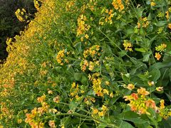 -会稽山峡洞漂流-上青古道