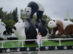 -西安秦岭野生动物园