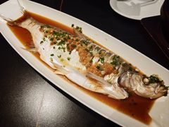 黄椒酱蒸大白鱼-连鹭海鲜·大连菜(星海店)