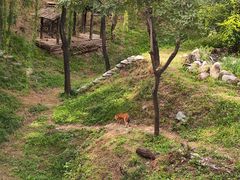 -石家庄市动物园