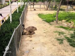 -石家庄市动物园