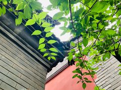 -潭柘寺景区