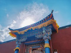 -塔尔寺菩提树