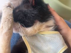 -平行世界·猫咖(首经贸店)