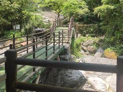 -西岭雪山大飞水景区