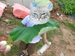 -象山森林公园