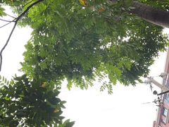 -鲍师傅糕点(国金街店)