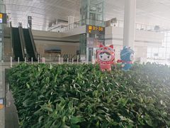 -石家庄正定国际机场-T2航站楼