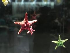 -青岛贝壳博物馆