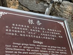 -青岛崂山太清宫