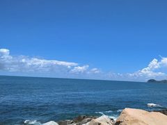 -广东惠东海龟国家级自然保护区