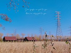 -永定河休闲森林公园