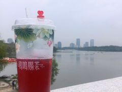 -鸡鸣赐茶(鸡鸣寺路店)