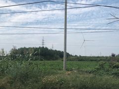 -重庆海昌加勒比海水世界