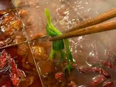 豌豆尖-酒友老火锅(渝中店)