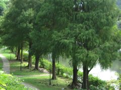 -海底捞火锅(金光华店)