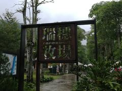 -瑞穗牧场
