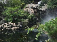 -八大山人梅湖景区