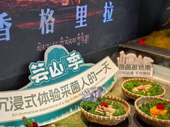 -芸山季·云南野生菌火锅(南翔印象城MEGA店)
