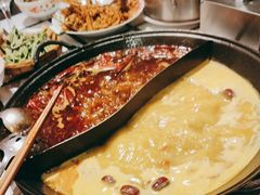 -朱光玉火锅馆(正弘城店)