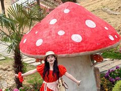 -沂蒙山旅游区云蒙景区(蒙山国家森林公园)