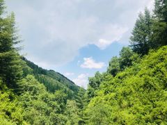 -苏木山森林公园