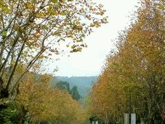 -中旅阿那亚九龙湖·公主酒店