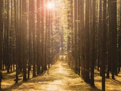 -山王坪喀斯特国家生态公园