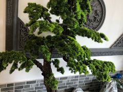 -呼吸森林·生态农庄农家乐私房菜