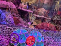 -沈阳海洋探索中心