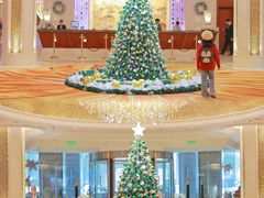 -苏州香格里拉大酒店