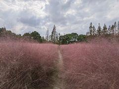 -嘉北郊野公园