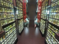 -广东中医药博物馆