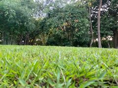 -晓港公园