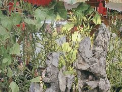 -津沽小院(天津之眼店)