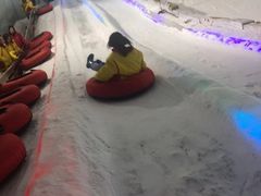 -世界之窗阿尔卑斯冰雪世界