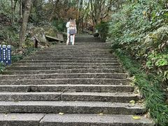 -宁波市保国寺古建筑博物馆