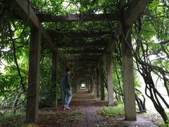 -森林公园(尖草坪区)
