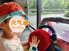 -杭州少年儿童公园